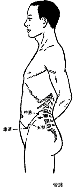 qijingbamai_04.gif