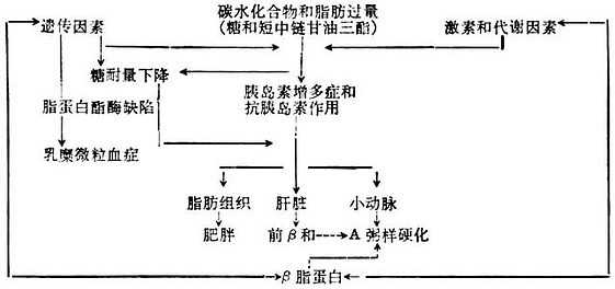 linchuangyingyangxue147.jpg