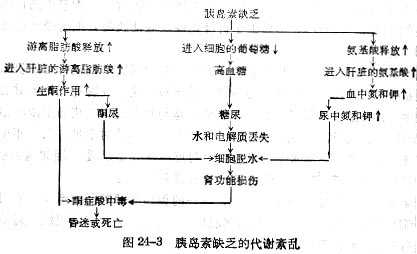 linchuangyingyangxue124.jpg