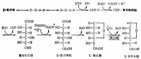 linchuangyingyangxue102.jpg