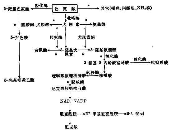 linchuangyingyangxue101.jpg