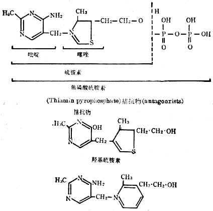 linchuangyingyangxue100.jpg