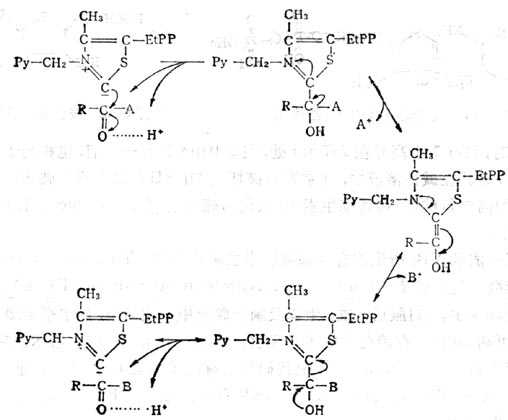  άB1Ȼøû