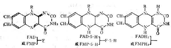 άB2øֹʽ 